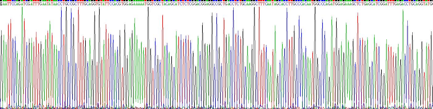 Recombinant Homing Associated Cell Adhesion Molecule (HCAM)