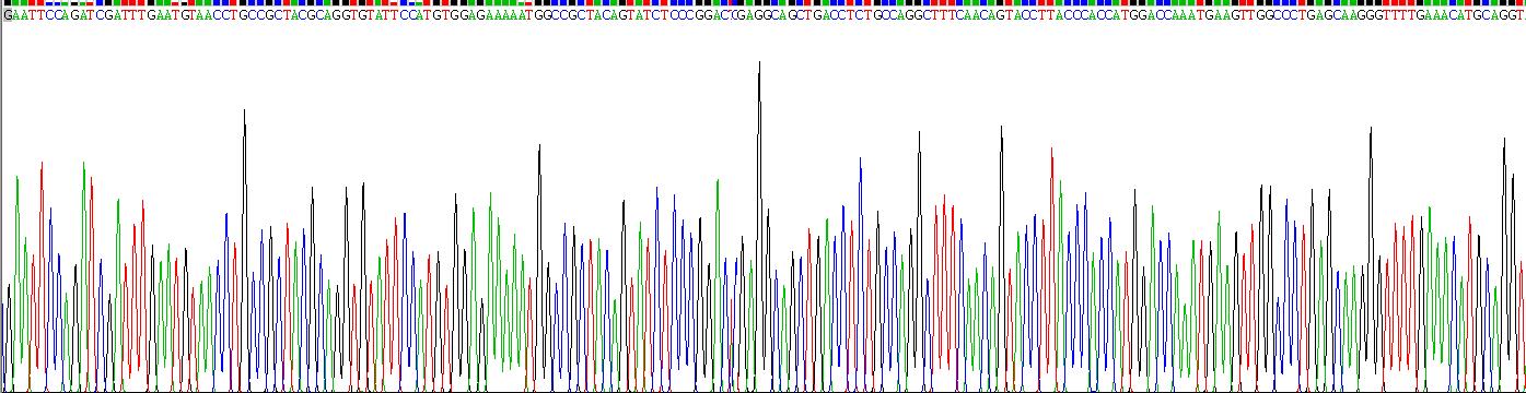 Recombinant Homing Associated Cell Adhesion Molecule (HCAM)