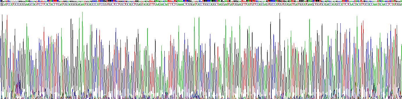 Recombinant Glutathione S Transferase Alpha 3 (GSTa3)