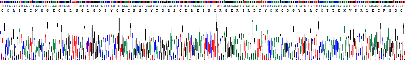 Recombinant Slit Homolog 2 (Slit2)