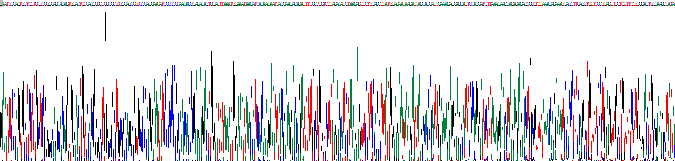 Recombinant Slit Homolog 2 (Slit2)