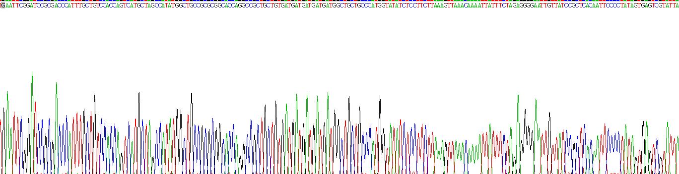 Recombinant Tumor Necrosis Factor Receptor Superfamily, Member 8 (TNFRSF8)