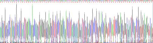 Recombinant Mucin 5 Subtype B (MUC5B)