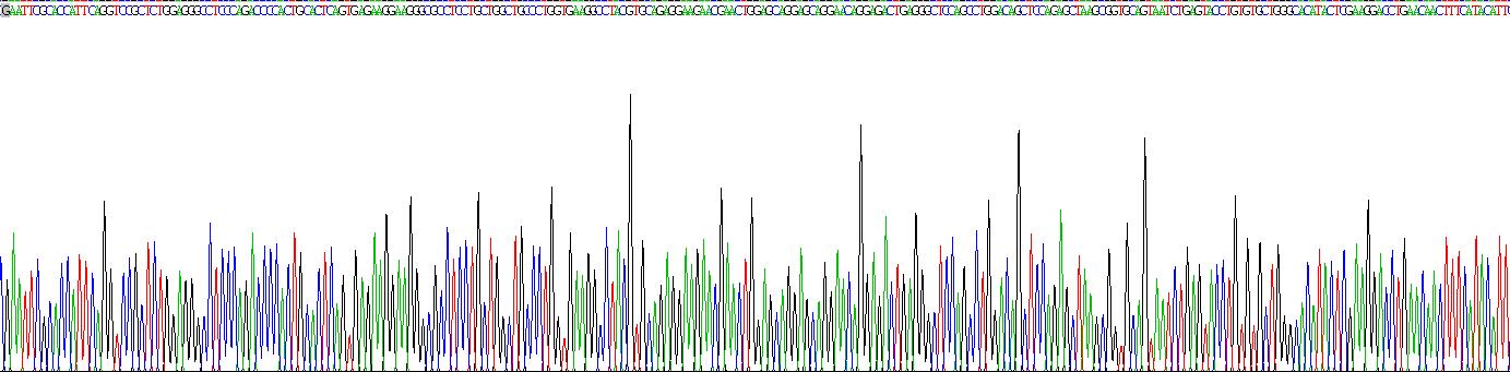 Recombinant Procalcitonin (PCT)