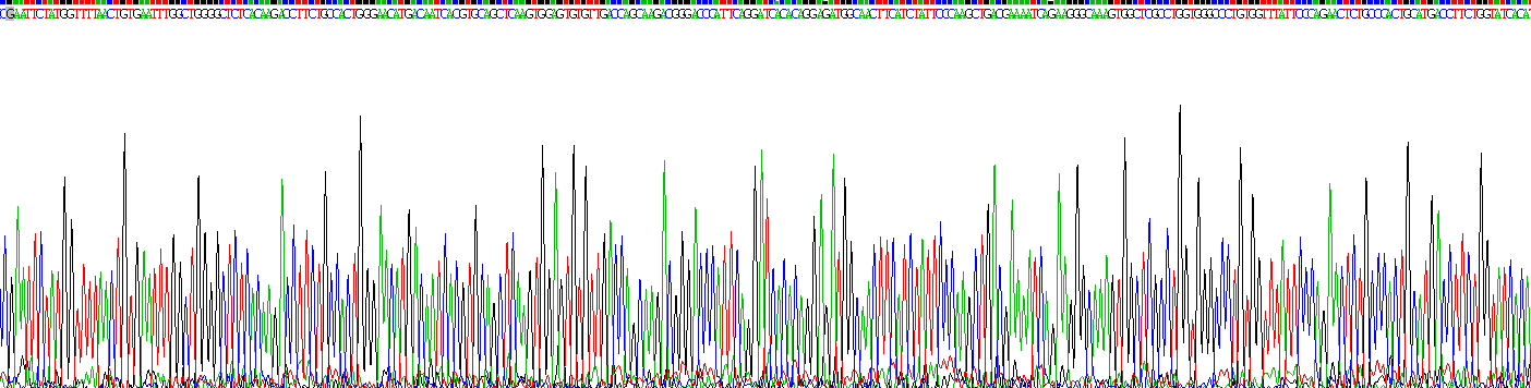 Recombinant Neuropilin 1 (NRP1)