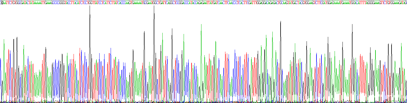 Recombinant Neuropilin 1 (NRP1)