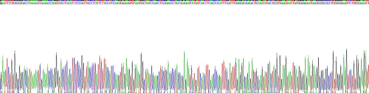 Recombinant Neuropilin 1 (NRP1)