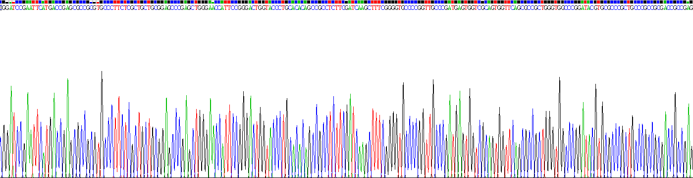 Recombinant Heat Shock Protein 27 (Hsp27)