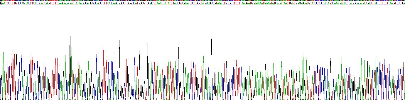 Recombinant Cyclooxygenase-2 (COX 2)