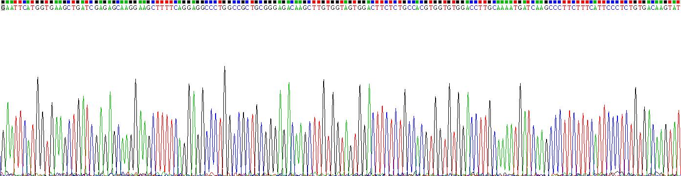 Recombinant Thioredoxin (Trx)