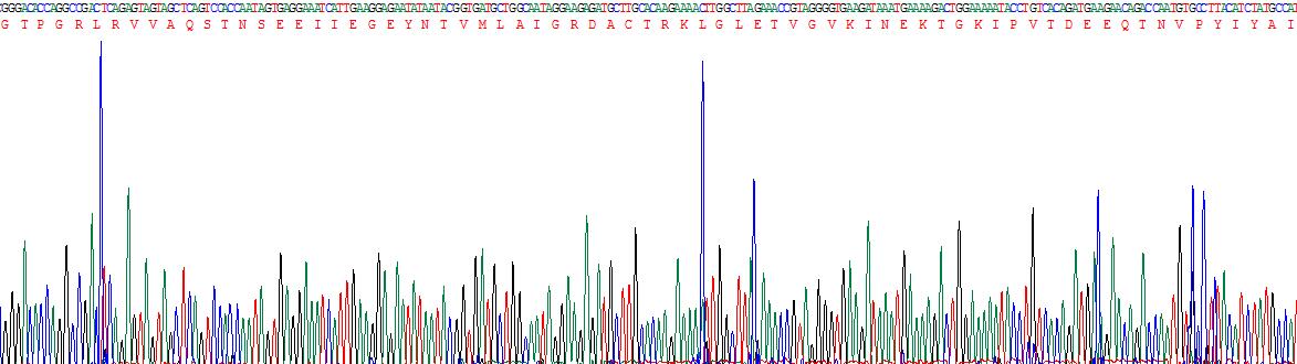 Recombinant Thioredoxin Reductase 1 (TXNRD1)