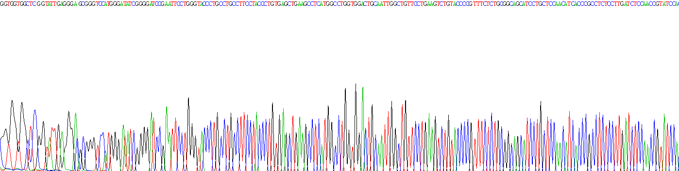 Recombinant Toll Like Receptor 9 (TLR9)