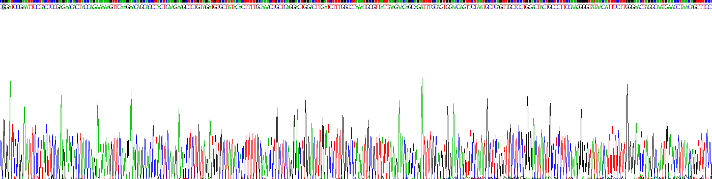 Recombinant Heparanase (HPSE)