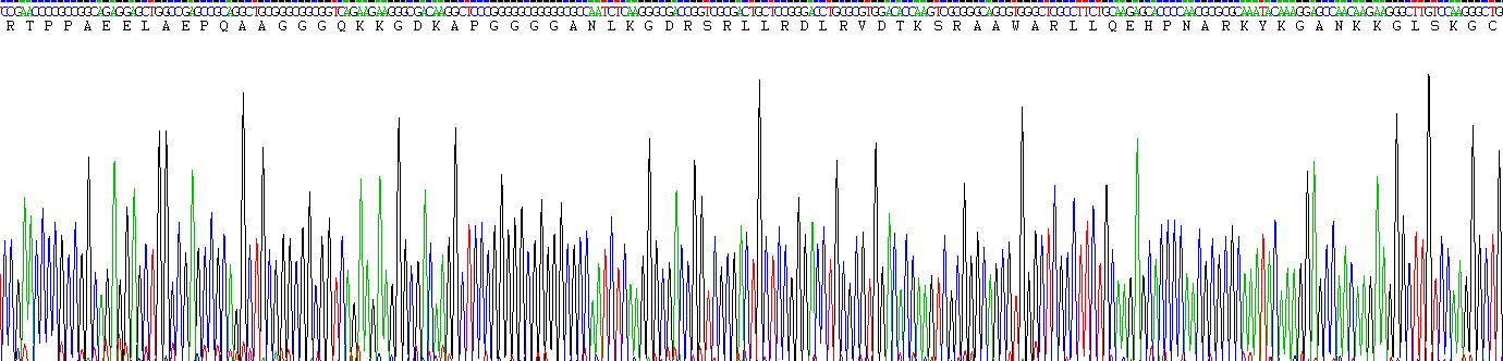 Recombinant C-Type Natriuretic Peptide (CNP)