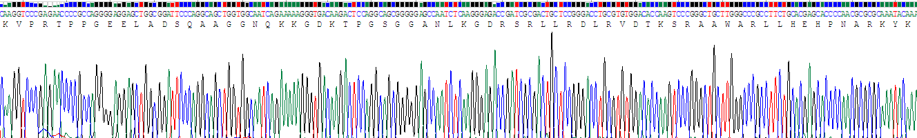 Recombinant C-Type Natriuretic Peptide (CNP)