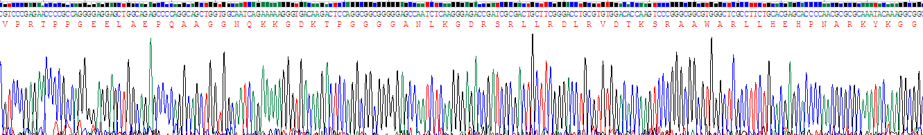 Recombinant C-Type Natriuretic Peptide (CNP)