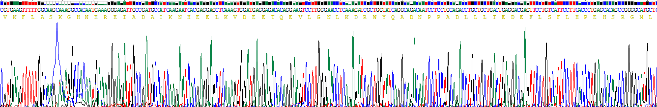 Recombinant Stromal Cell Derived Factor 4 (SDF4)