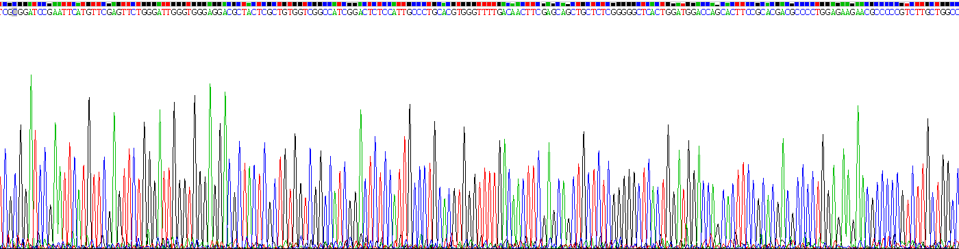 Recombinant Glucose 6 Phosphate Isomerase (GPI)