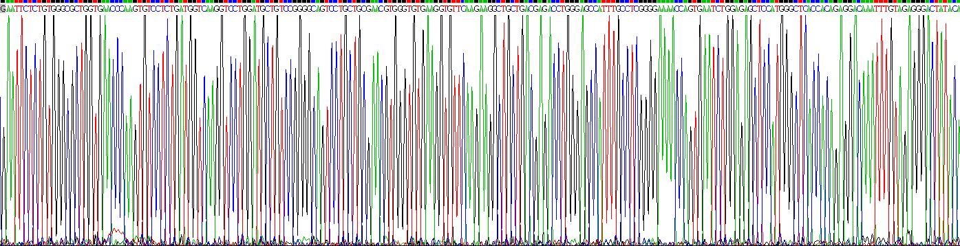 Recombinant Prealbumin (PALB)