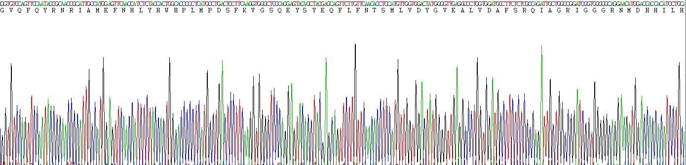 Recombinant Cyclooxygenase 1 (COX-1)