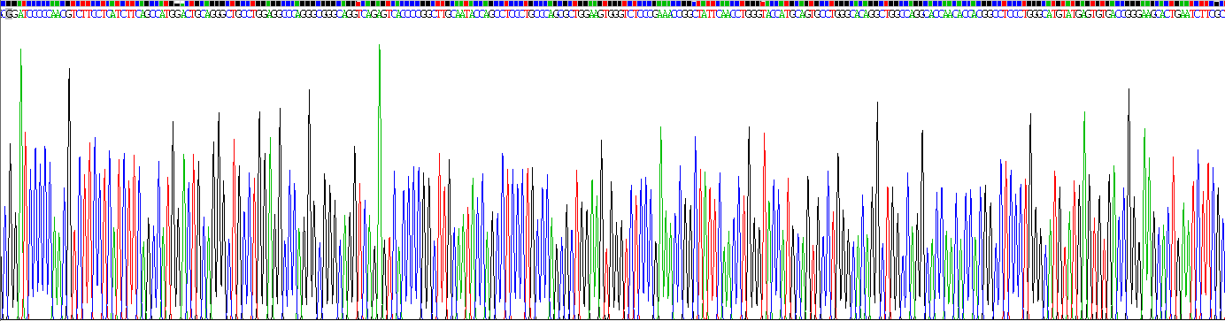 Recombinant Mannose Receptor C Type 2 (MRC2)