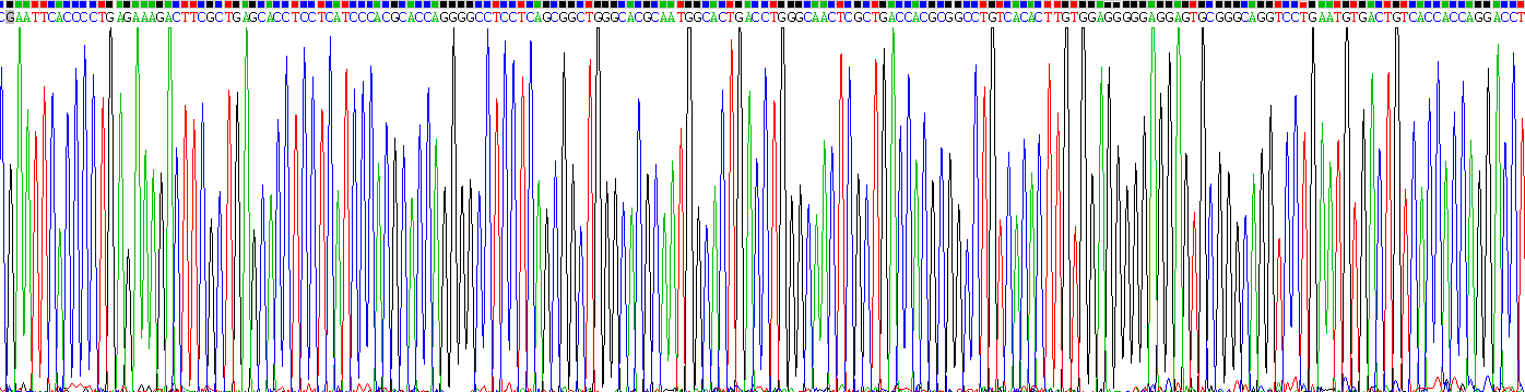 Recombinant Protein Z (PROZ)