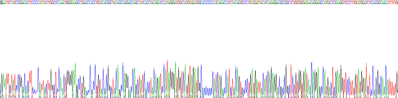 Recombinant Fibroblast Growth Factor 23 (FGF23)