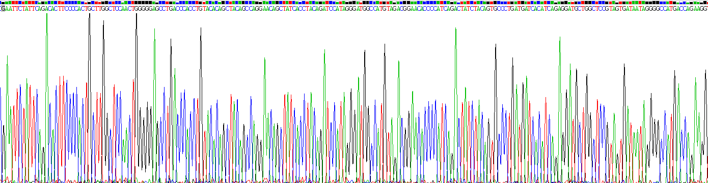 Recombinant Fibroblast Growth Factor 23 (FGF23)