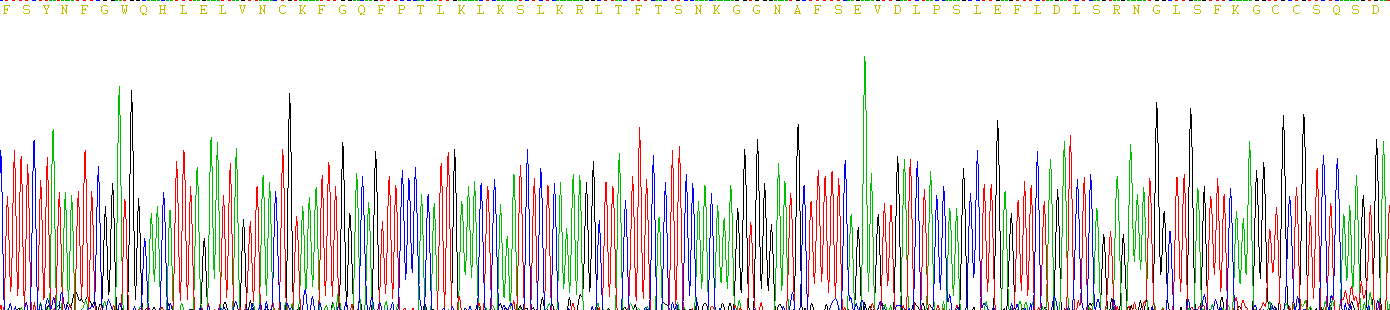 Recombinant Toll Like Receptor 4 (TLR4)