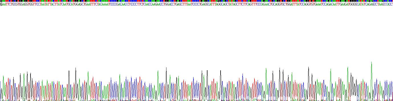 Recombinant Toll Like Receptor 4 (TLR4)