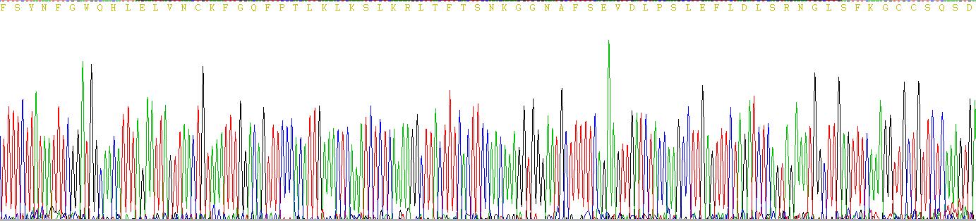 Recombinant Toll Like Receptor 4 (TLR4)