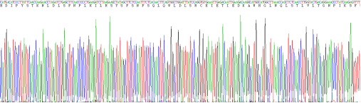 Recombinant Toll Like Receptor 4 (TLR4)