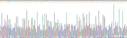 Recombinant Mucin 5 Subtype AC (MUC5AC)