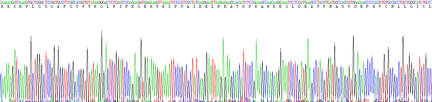 Recombinant Epidermal Growth Factor Receptor (EGFR)