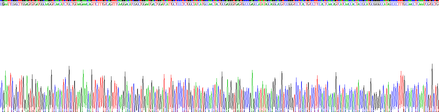 Recombinant Inhibin B (INHB)