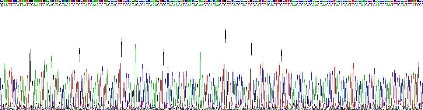 Recombinant Podocalyxin (PODXL)