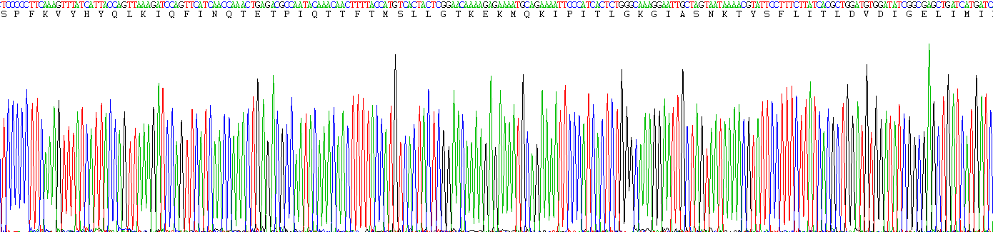 Recombinant Lipase, Hepatic (LIPC)