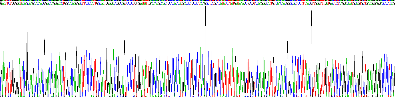 Recombinant Carbonic Anhydrase II (CA2)