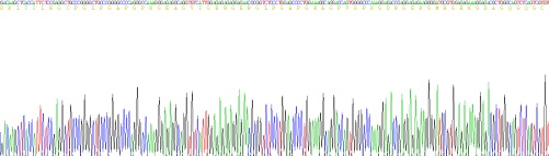 Recombinant Ficolin 1 (FCN1)