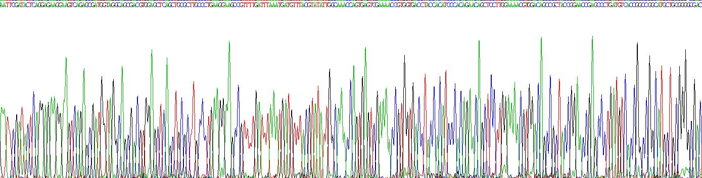 Recombinant Inducible T-Cell Co Stimulator Ligand (ICOSLG)