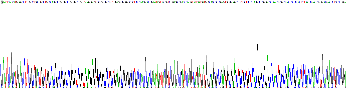 Recombinant Cyclin Dependent Kinase Inhibitor 2A (CDKN2A)