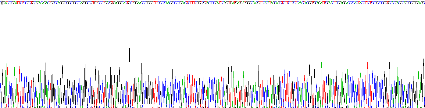 Recombinant Cyclin Dependent Kinase Inhibitor 2A (CDKN2A)