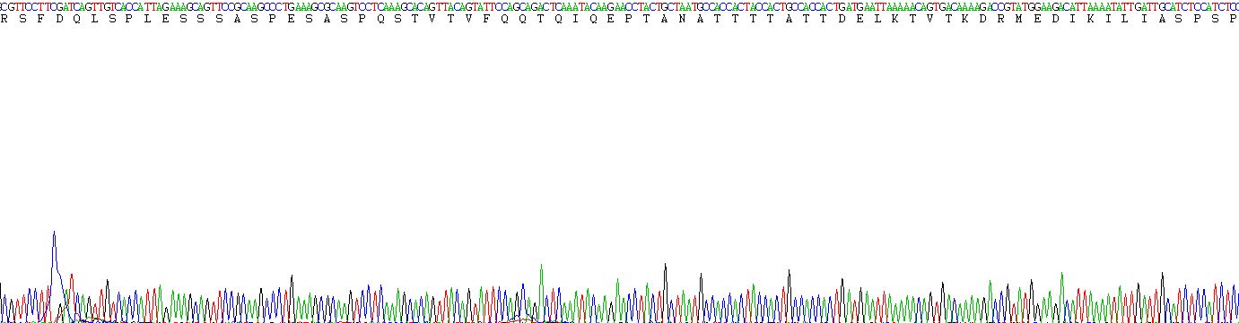 Recombinant Hypoxia Inducible Factor 1 Alpha (HIF1a)