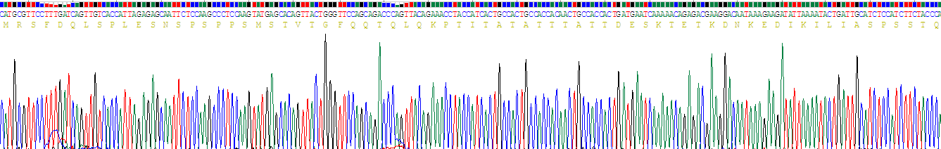 Recombinant Hypoxia Inducible Factor 1 Alpha (HIF1a)