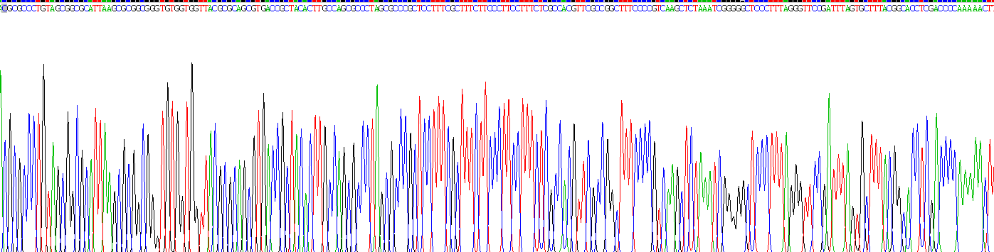 Recombinant Bone Morphogenetic Protein 7 (BMP7)