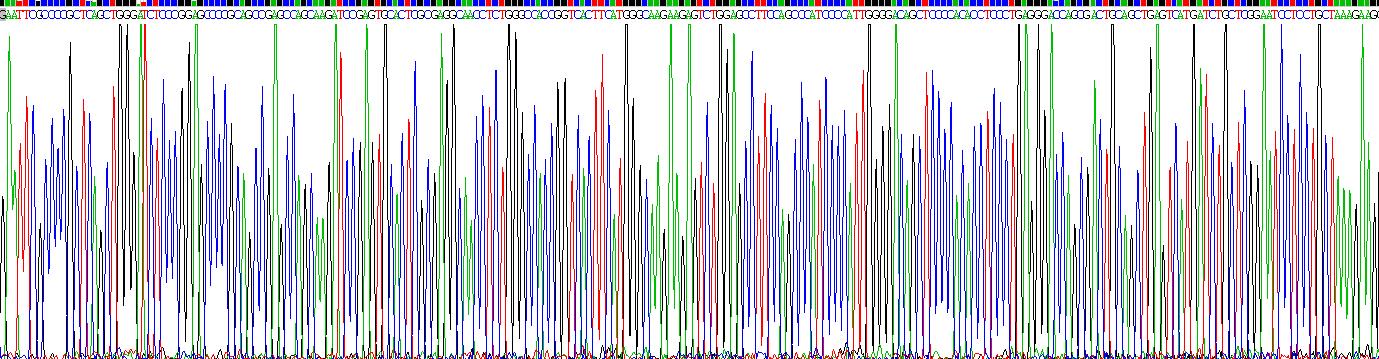 Recombinant Neuromedin B (NMB)