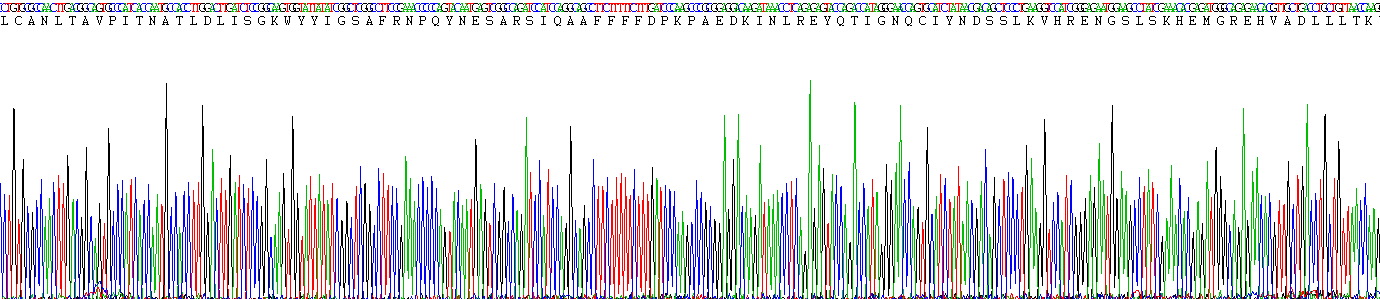 Recombinant Alpha-1-Acid Glycoprotein (a1AGP)