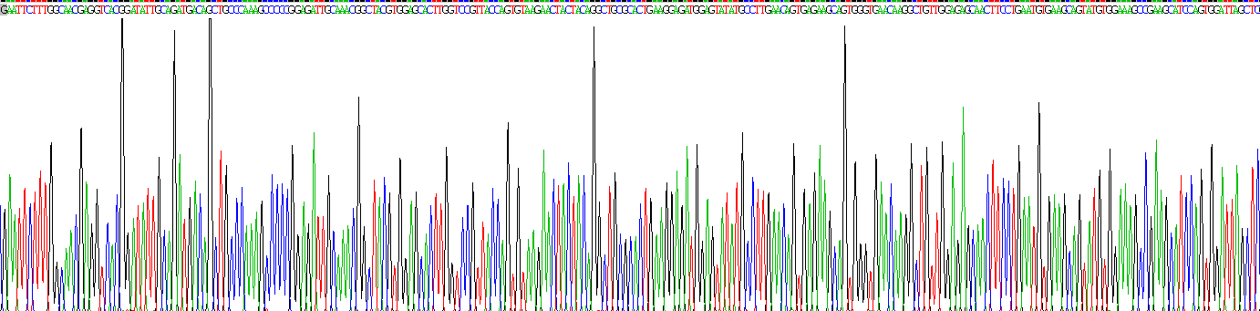 Recombinant Haptoglobin (Hpt)