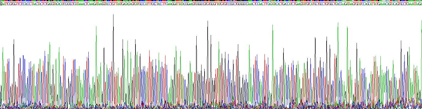 Recombinant Haptoglobin (Hpt)