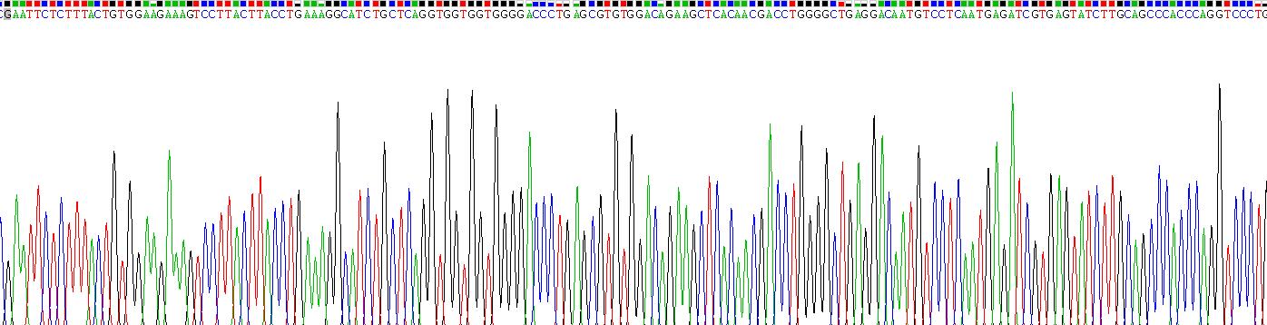 Recombinant Death receptor 5 (DR5)